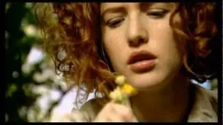 מאור כהן -שיר של יום חולין
