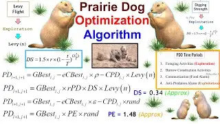 Prairie Dog Optimization Algorithm || Step-By-Step || ~xRay Pixy