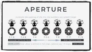 Aperture-Master Photography with Assignment