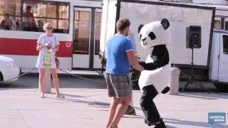 панда. progorodsamara.ru