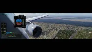 landing in Cairo airport Toliss A319