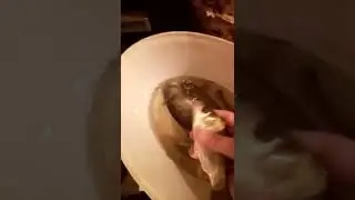мой улов))))