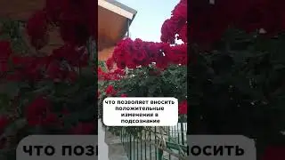 Всё еще боишься гипноза? А зря !!! Почему? 