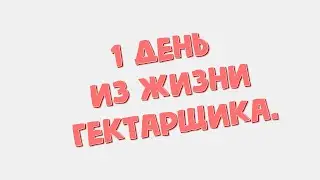 Один день из жизни гектарщика