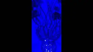 Elegant LED Fancy Lamp O6 - Souq.com