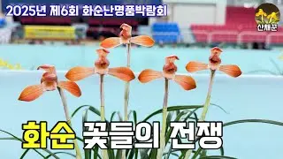 화려한 봄꽃들의 전쟁..화순 난명품 박람회