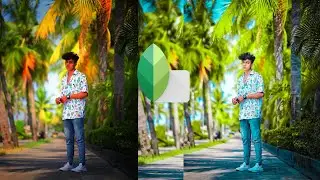 Snapseed blue and lime tone retouching photo editing tutorial in mobile||preset download free