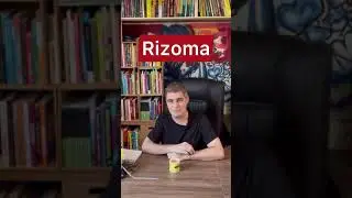 Microaula sobre Gilles Deleuze e o Rizoma