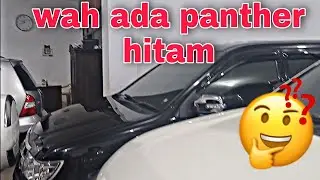 Review mobil bekas di showroom Ahmad yani Bondowoso|| ternyata ada Isuzu panther rajanya diesel