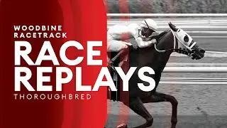 Woodbine, Tbred, November 15, 2025 Race 4 | Woodbine Horse Race Replay