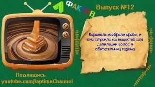 7 фактов #12 -Всё обо всем! И обо всех!