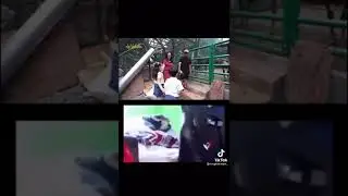 Kelakuan anak bocil pegang memek di elus elus remes remes