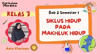 Siklus pada Makhluk Hidup - IPAS Kelas 3 Bab 2 Topik A Kurikulum Merdeka