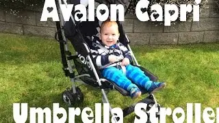 HOLIDAY STROLLER PICK; AVALON CAPRI UMBRELLA STROLLER