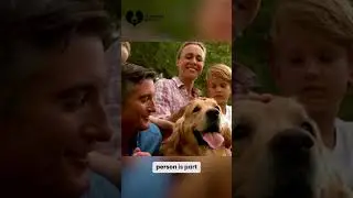 Dr. Anand answers: How can I socialize my pet with humans? 🐾👨‍⚕