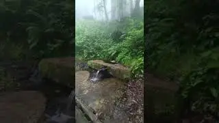 #doğal #madensuyunu gözesinden içmek için #kuzalan #tabiatparkını ziyaret edebilirsiniz. #giresun