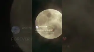 xxxtentacion