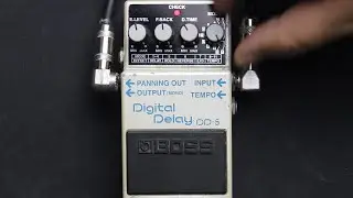 Boss DD-5 Digital Delay Pedal Demo Video