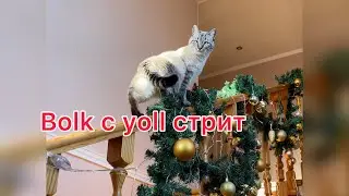 Вверх по карьерной лестнице 🚀🚀🚀