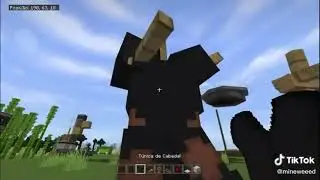 Minecraft Tik Tok Compilation #423