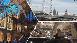 London Bus Tour | Museums | Harrods