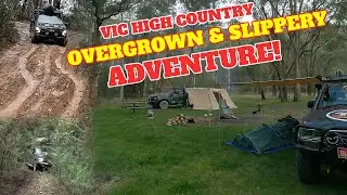 PERFECT CAMPING: TREACHEROUS OVERGROWN TRACKS IN THE VIC HIGH COUNTRY