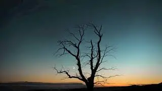 Georgijs Osokins plays Arvo Pärt - Fragile e conciliante