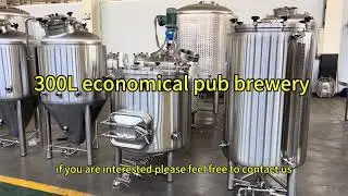 300L craft pub brewhouse,low cost,space compact