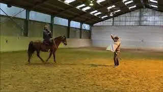 Historical riding: Training I