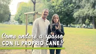 TUTORIAL BAU BOYS - Come andare a spasso con il proprio cane?