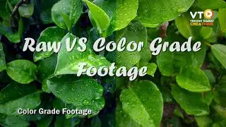 Raw VS Color Grade Footage | Color Grading | Color Correction | Cinematic Video