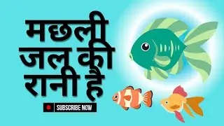 Machhli Jal Ki Rani Hai| मछली जल की रानी है | हिंदीनर्सरीराइम्स'