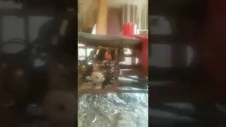 Муравей, мысли...