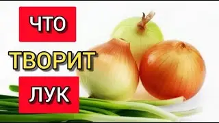 ЧЕМ ПОЛЕЗЕН РЕПЧАТЫЙ  ЛУК. ПОЛЕЗНЫЕ СВОЙСТВА ЛУКА