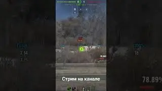 читер в моей голове