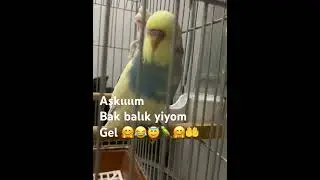 Aşkıııııııım bak balık yiyom gel😂😇🤗🦜🎉🤲