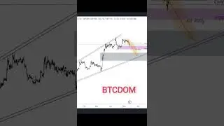 #stx #btcdom #burger #waves #celr #altcoins #crypto #altseason #trading #btctrading #spot #futures