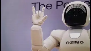 Maratón de curiosidades