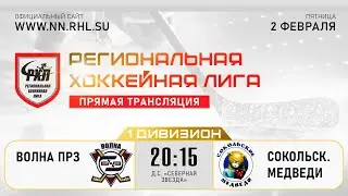 ВОЛНА ПРЗ - СОКОЛЬСКИЕ МЕДВЕДИ | 02.02.24