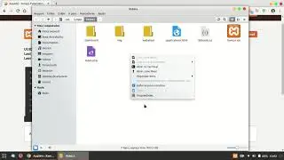 Xampp Panel Menu   LINUX MINT 19 3