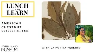 Lunch and Learn: American Chestnut