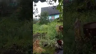 Вот это Ливень . 3 июля 2018 г.