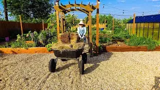 Ep. 9 Mulch for summer and harvesting veggies for quick lunch. #recipe #gardening #veggiegarden