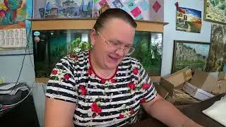 Отвечаю на вопросы зрителей. Часть 1