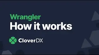 How it works | CloverDX Wrangler