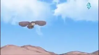 Hz Süleyman peyğəmbər ilə Bayquşun söhbəti