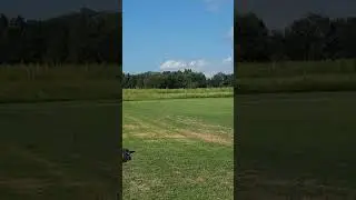 Bob's Predator jet greases landing.