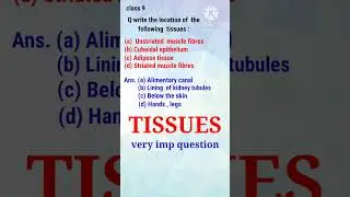 9th TISSUE IMP QUESTION 2