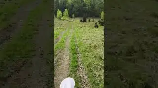 Підйом на гору Менчелик з Сасівських верхів. #enduro #mountains #закарпаття #врекомендації  #україна