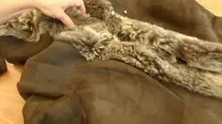 Дублёнка женская.